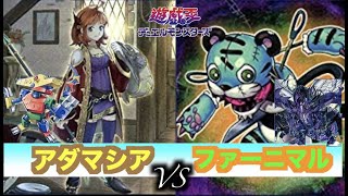 【遊戯王】アダマシアVSファーニマル　DK杯大会マッチ戦