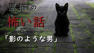 【怖い話】【朗読】【黒猫の怖い話】「影のような男」　投稿者　アスタリスク様　奇々怪々より