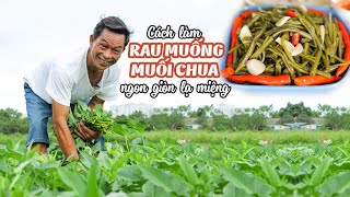 Ông Thọ Làm Rau Muống Muối Chua Giòn Ngon Lạ Miệng | Pickled Water Spinach