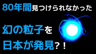 【衝撃】幻の粒子の謎がヤバすぎる…