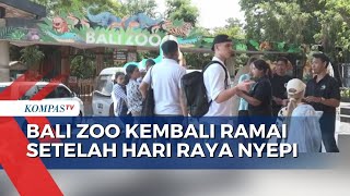 Usai Hari Raya Nyepi, Bali Zoo Kembali Ramai Dikunjungi Wisatawan Asing dan Domestik