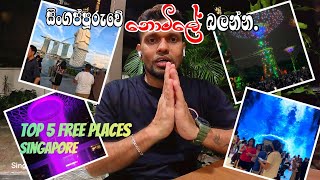 සිංගප්පූරුවේ නොමිලේ බලන්න | Top 5 Free Places Singapore