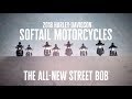 The All-New 2018 Harley-Davidson Street Bob