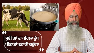 ਬਹੁਲੀ ਖਾਓ ਜਵਾਨੀ ਕਾਇਮ | Colostrum Milk - Khees, Kharvas Gun, Benefits \u0026 Recipe | Khees Khane K Fayde