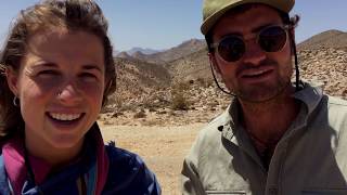 The flowers of the ǀAi-ǀAis/Richtersveld Transfrontier Park