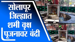 Solapur | कोरोनामुळे सोलापुरातल्या पार्कचौक येथील शमी वृक्ष पूजनावर बंदी -tv9