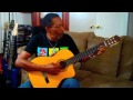 Roi Accoustic Cover