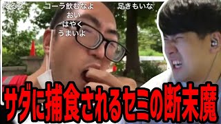 ゆゆうた、始まりの覚醒者サダがセミを捕食する動画で悶絶【2023/09/11】