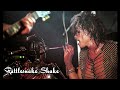 aerosmith rattlesnake shake munich 2001