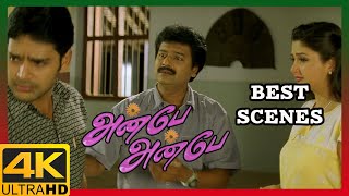 Anbe Anbe Tamil Movie 4K | Best Scenes Compilation | Shaam | Sharmilee | Vivek | Senthil
