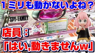 【クレーンゲーム】店員さんに驚きの対応された…！！景品が全く動かない状況の結末は！？『スパイファミリー☆アーニャ・フォージャーのフィギュア』橋渡し/攻略/コツ/裏技/景品紹介 ※SPY FAMILY