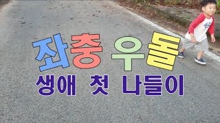 마을이장의 시바견(시바이누, シバイヌ, 柴犬, shiba inu) 성장일기 2탄 생애첫나들이