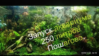 Запуск Аквариума 250 литров