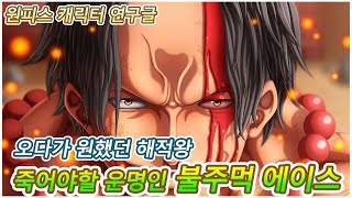 [원피스 에이스 연구글] 오다 작가가 원했던 해적왕 불주먹 에이스