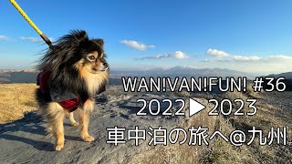 WAN!VAN!FUN! 犬生初の九州上陸🐾東京から九州へ車中泊の旅🚍地獄めぐりにハウステンボス！大満足のバンライフ！