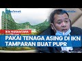 DPR Sebut Rencana Luhut Pakai Tenaga Asing di Proyek IKN Nusantara Tamparan Buat PUPR