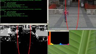 CAMSHIFT Demo