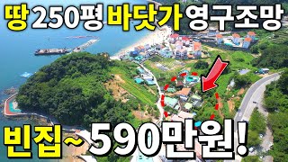 모두가 놀랐다! 바닷가 영구조망 확보된 빈집~ 590만원! 땅250평은 몽땅~4,000만원~이 집 횡재 or 쪽박