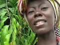 Sibonbo Salamatu sibonbo