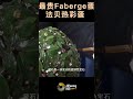 世界上最昂贵的fabergé蛋 俄罗斯 法贝热彩蛋 海湾树蛋 1500万美元1911年 客户 尼古拉斯二世