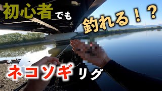 【五三川】根掛かり多発の五三川でも余裕！？ネコリグ初心者におすすめワーム！！