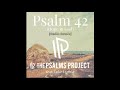 Psalm 42 (Hope in God) [Radio Remix] [feat. Luke Lynass] by The Psalms Project