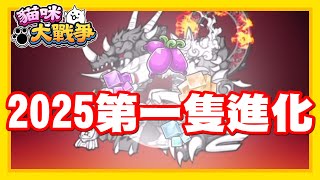 《哲平》手機遊戲 貓咪大戰爭 - 2025年!! 第一隻進化四階!! | 就讓上杉謙信當第一位囉!!