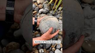 Cracking open coastal stones for Jurassic fossils! #fossil #hunting #coast #beach