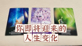 【赞恩塔罗】🔮你即将迎来的人生变化？🔮|评论留言，心想事成|🦋占卜|疗愈|祝福|best wishes🌷