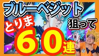 【ドッカンバトル】ブルーベジット狙って６０連神引き祭りだ！＃１【Dokkan Battle】