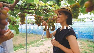 HANDOVER FARM // Organic Vineyard