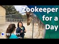 Zookeeper for a Day - You Oughta Know (2019)