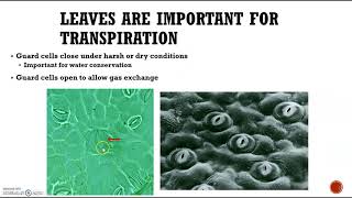 University of New England Bio 105 Lab Exercise 10: Part 2