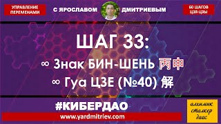 Кибердао. Круг 2. Шаг 33. Бин-Шень. Гуа Цзе (№40) Освобождение (Дмитриев Я.)