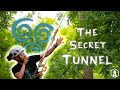 Tree Climbing Technique: SRT Secret Tunnel!