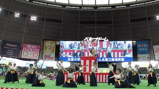 【4K】北里大学よさこいチーム北里三陸湧昇龍｜ 踊朧（ライオンズよさこい2023〜定点演舞〜）