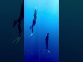 freediving en nerja andalucia spain 1kg neckweight 4kg in belt 8mm wetsuit