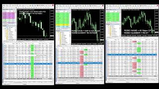 forexROBOtrading5 Live Stream