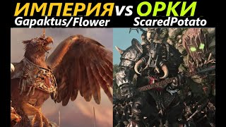 Орки(Scared_Potato) vs Империя(GapaKtus/Flower) Турнир Чаша Разрушения Total War: WARHAMMER 3 [106]