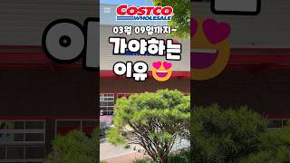 코스트코 03월 09일까지 가야하는 이유!! #costco #코스트코 #코스트코추천템 #코스트코에서꼭사야할것