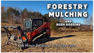 Clearing our Land with a Forestry Mulcher / Building our 23 Acre Homestead