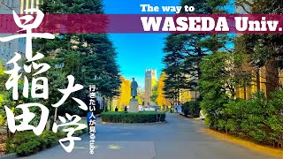 🎓♯15早稲田大学へご案内【行き方/アクセス/早稲田駅】The way to Waseda Univ.JAPAN TOKYO walking tour guide.