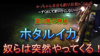 これ全部タダなの❗【身投げ】【プチ湧き】富山県の神秘・後半4K撮影にて湧いてます