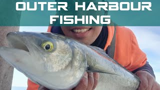 Outer harbour Breakwall Port Kembla fishing || Fishing in Wollongong NSW || Salmon catch and cook AU