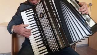 Weltmeister S5 120 Bass Double Cassotto Accordion Fisarmonica LMMMH Akkordeon (1)