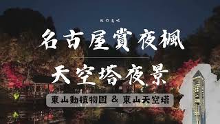 名古屋自由行! 東山動植物園賞楓 x 東山天空塔夜景  | 名古屋賞楓  | 名古屋夜景  #東山動植物園 #天空塔 #名古屋自由行 #名古屋旅遊 #日本賞楓