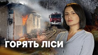 Полтавщину охопили масштабні лісові пожежі | Тригернуло | Огляд подій тижня