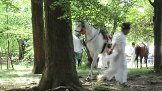 上賀茂神社賀茂競馬足汰式