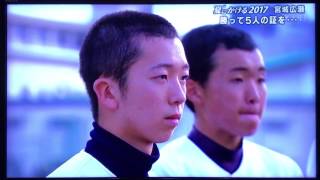 【夏の高校野球2017】スーパーＪチャンネルみやぎ 宮城広瀬高校野球部特集～最後の夏に賭ける想い