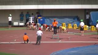 2016日本学生個人 110ｍH　準決勝　加藤